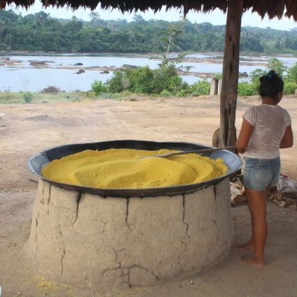 Crise hídrica na Amazônia afeta cadeia de produtos agroextrativistas no Pará