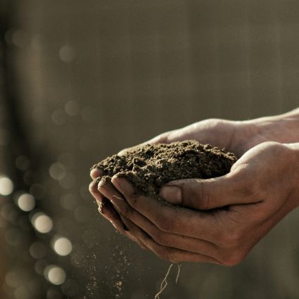 Caminhos para adaptação do campo à realidade dos extremos climáticos