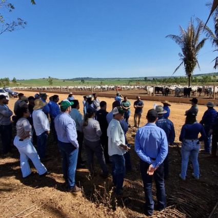 Diálogo sobre pecuária sustentável avança em Rondônia 