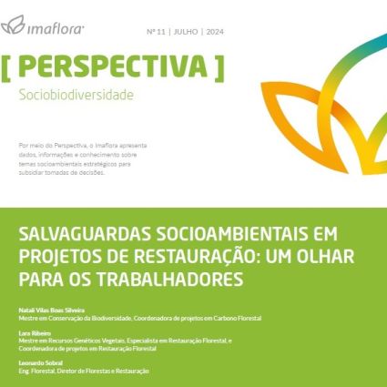 Pesquisa de percepção do Imaflora identifica os principais gargalos da mão de obra em projetos de Restauração Florestal