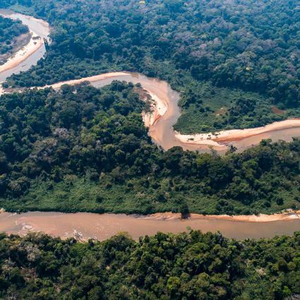 Avanço de soluções para conciliar proteção ambiental e produção agropecuária depende de maior transparência pública