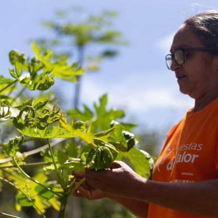 Comunidades tradicionais se antecipam à seca da Amazônia com ações de adaptação à crise climática