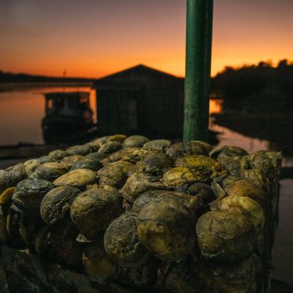 Rede Origens Brasil® expande atuação para o sexto território e chega nas cidades do Médio Purus