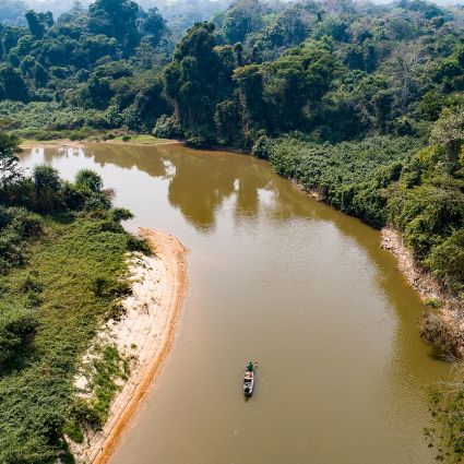 Hora de destravar o financiamento da biodiversidade