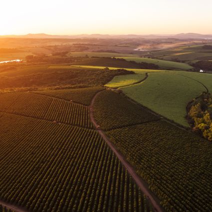 Imaflora e Agrotools lançam algoritmo exclusivo com base em IA  para aumentar a confiança do Cadastro Ambiental Rural (CAR)