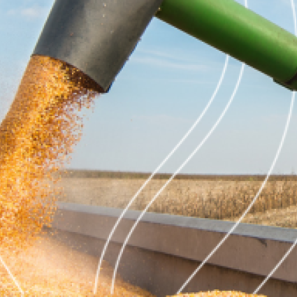 Imaflora e Agroicone lançam formação executiva inédita para o agronegócio sustentável