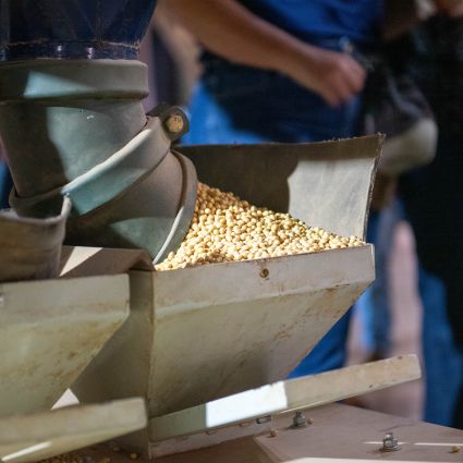 5 passos para alavancar o agronegócio brasileiro no exterior