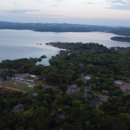 Por que as FPNDs são o futuro da conservação na Amazônia?