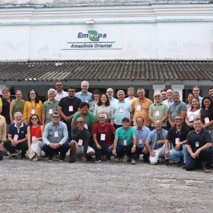 Imaflora e Embrapa desenvolvem indicadores para Sistemas Agroflorestais do Programa Florestas Produtivas 