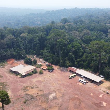 R$ 27 milhões vindos de concessões florestais federais chegam a estados e municípios da Amazônia