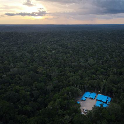 Fundo Florestas Tropicais para Sempre: inovação em favor da conservação