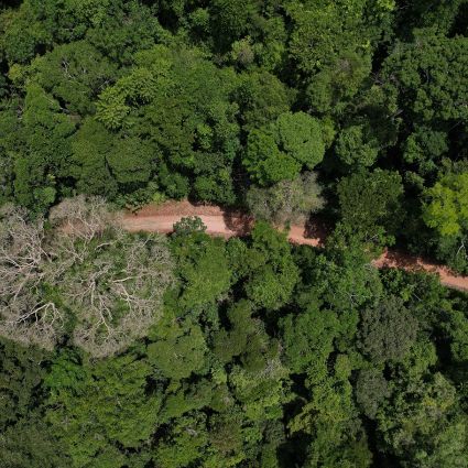 Nota sobre o resultado da votação do PL do Licenciamento Ambiental na Câmara