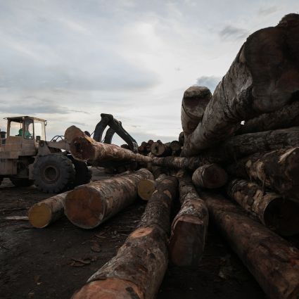 Atuação junto ao setor empresarial