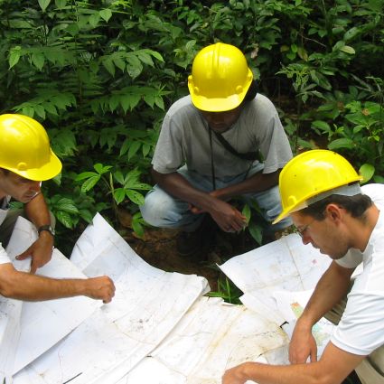 Da produção à incidência junto aos setores público e privado