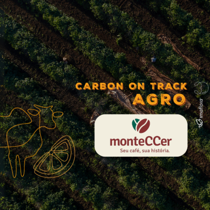 Monteccer tem balanço negativo de carbono na safra 2021/22
