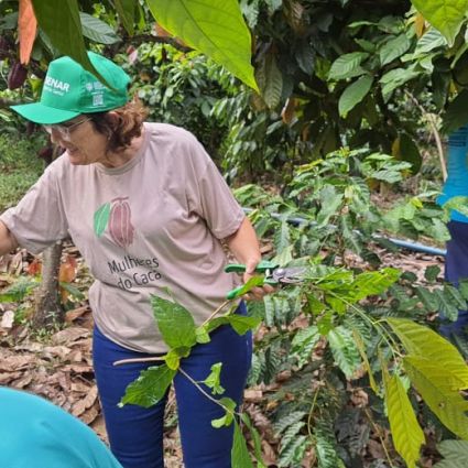 Data science and knowledge management at the service of the sustainable use of natural resources