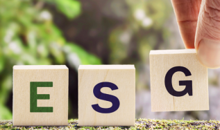 ESG: o que é, como funciona e como aplicar na sua empresa