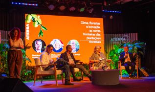 Clima, floresta e inovação: as novas fronteiras das plantações florestais