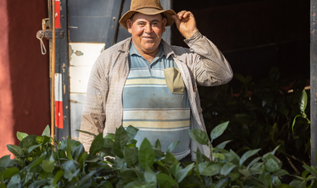 Devida diligência em direitos humanos: entenda o que é!