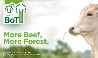 Imaflora lança a primeira certificação de carne livre de desmatamento do mundo
