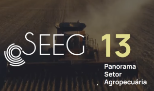 Imaflora: estimativas do SEEG mostram redução de 0,7% nas emissões do agro brasileiro