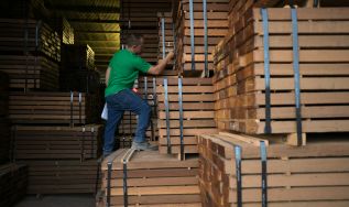 Extração ilegal de madeira na Amazônia tem aumento de 184% em Unidades de Conservação