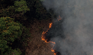 Queimadas em pastagens geram emissões invisíveis no inventário climático do Brasil 
