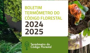 Termômetro do Código Florestal indica avanço nas inscrições do Cadastro Ambiental, mas Código Florestal segue sem implementação efetiva nos territórios