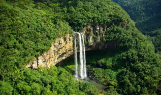 Imaflora e Observatório do Código Florestal lançam análises sobre transparência e governança de dados ambientais federais