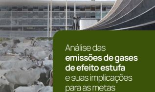 Relatório Analítico do SEEG: análise completa das emissões nacionais é lançada