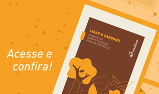 Nova publicação mostra como o LiDAR pode tornar a mensuração de carbono mais precisa, eficiente e verificável