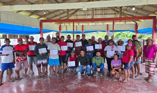 O aprimoramento das etapas de beneficiamento do guaraná amazônico pode transformar o fruto