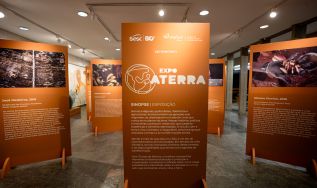 Exposição ‘Aterra’ ressalta histórias e conexões com a natureza em diferentes territórios do Brasil