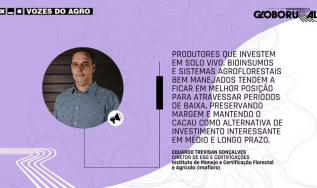 Cacau: choque de realidade e desafios para novos projetos