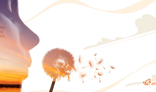 Relatório Anual de Atividades - Imaflora 2025