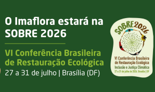 Imaflora leva à SOBRE experiência em restauração, equidade racial e monitoramento de projetos