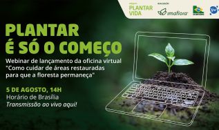 Projeto Plantar Vida lança oficina virtual sobre manutenção de áreas restauradas