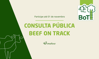 Imaflora abre consulta pública dos padrões do Sistema de Certificação Beef on Track e promove série de webinários