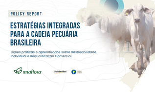 Os caminhos para ampliar a rastreabilidade e a inclusão na pecuária 