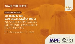 Oficina online apresenta novas versões dos protocolos de monitoramento e auditoria do Boi na Linha