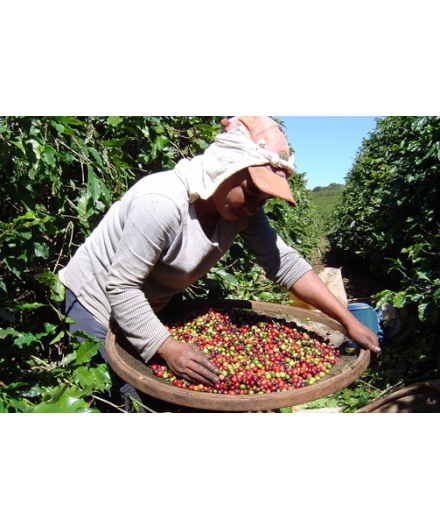 As mulheres na agricultura e a certificação