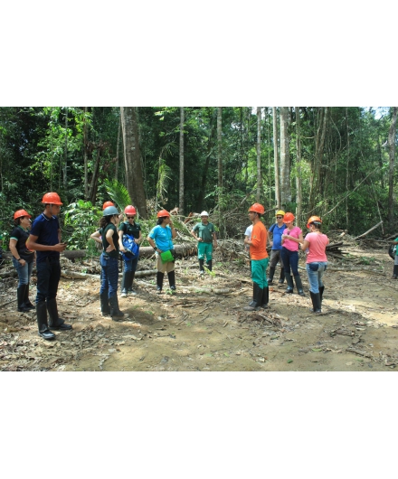 Vem aí a rede para fortalecer o extrativismo comunitário na Amazônia