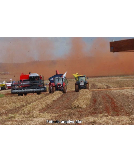 Agropecuária Brasileira: Como reverter as emissões de gases de efeito estufa?