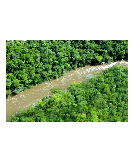 Esperança para o código florestal