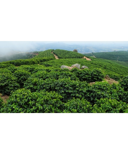 Fazenda São Paulo é a campeã do Prêmio MPE Brasil