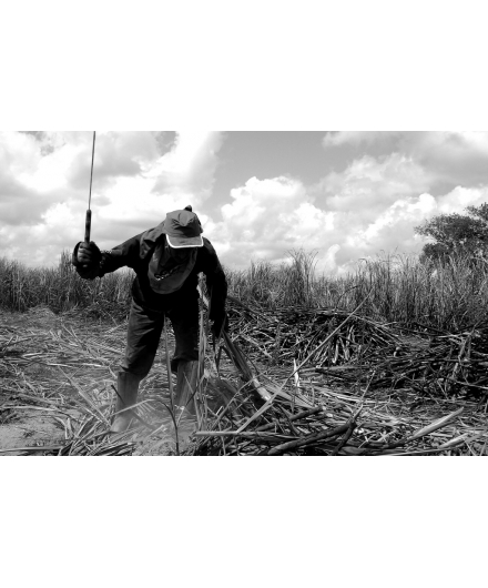 FIM DOS DIREITOS NO CAMPO?
