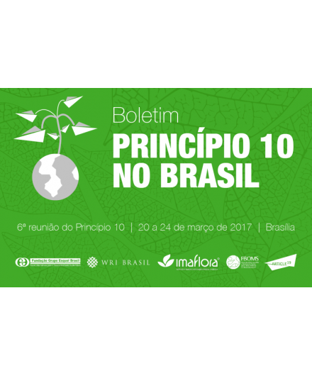 WEBINÁRIO DEBATE O ACORDO DO PRINCÍPIO 10 E A RODADA DE NEGOCIAÇÕES NO BRASIL