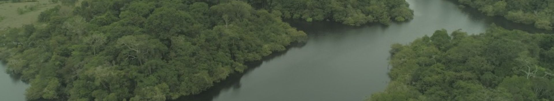 Banner Mobile