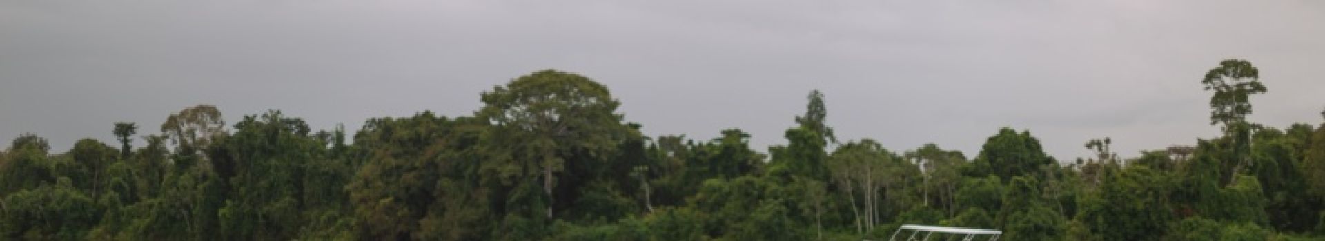 Banner Mobile