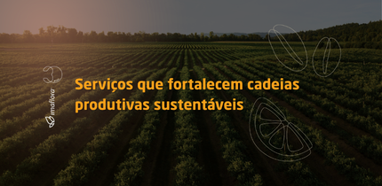 Banner Mobile